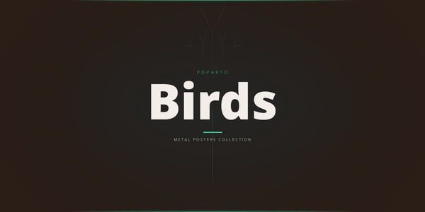 Birds Metal Posters