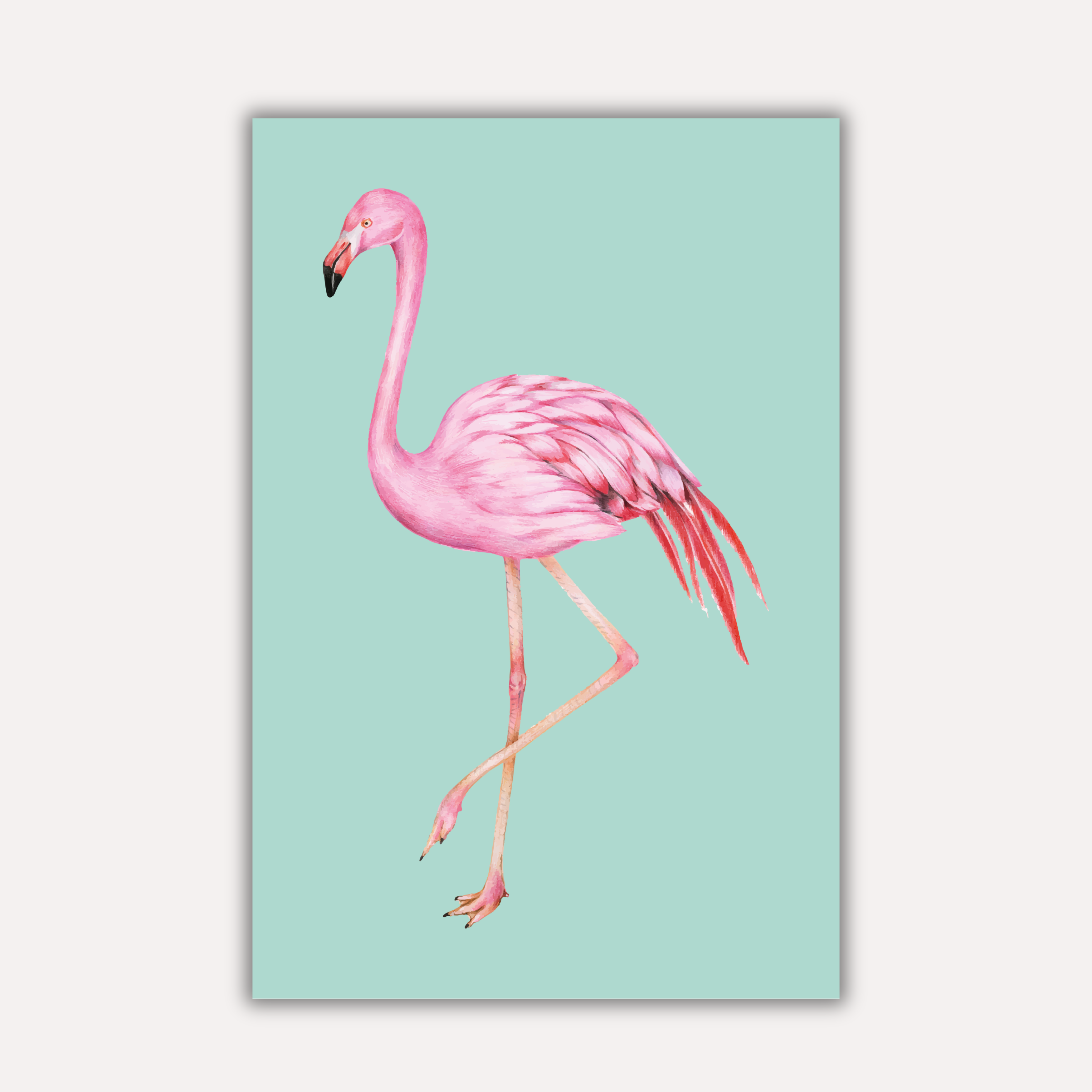 Bird Aesthetic - Flamingle